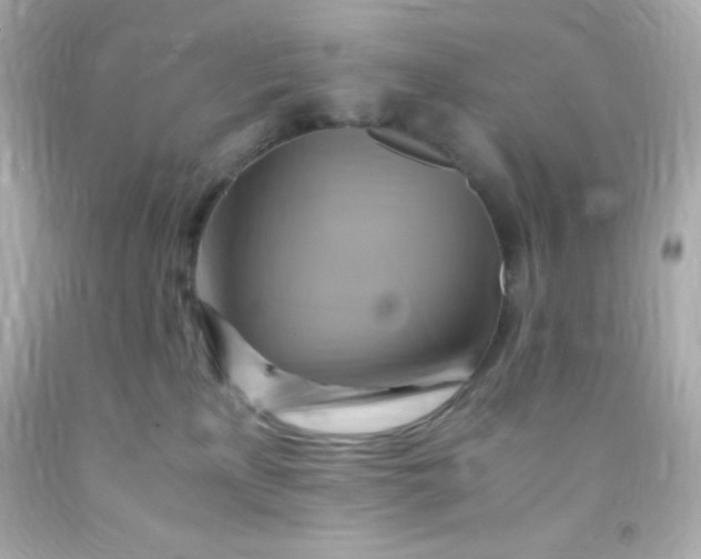 X0000091500233200709061928