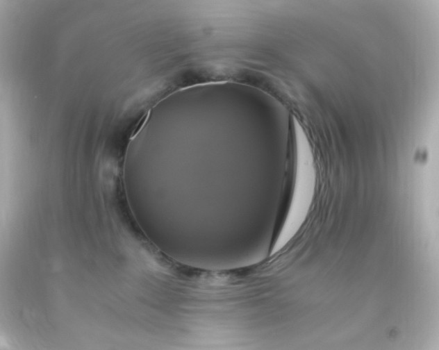 X0000091500235200709061928