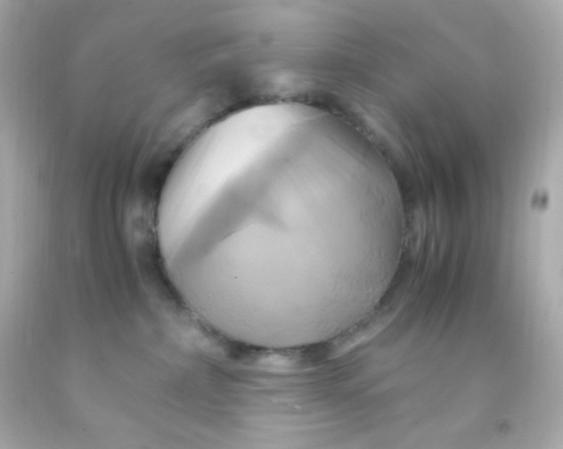 X0000091500236200709061928