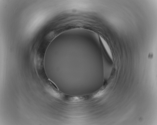 X0000091500239200709061928