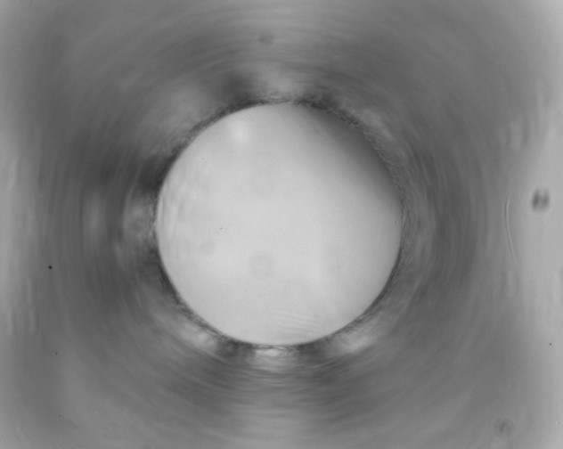 X0000091500240200709061928