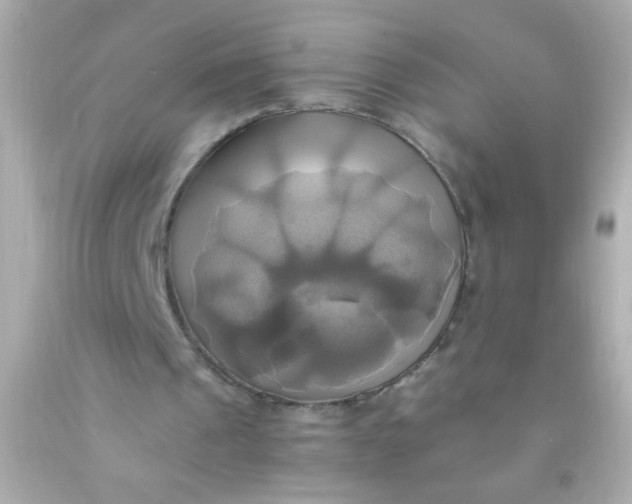 X0000091500241200709061928