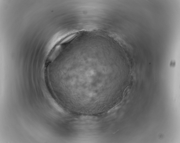 X0000091500242200709061928