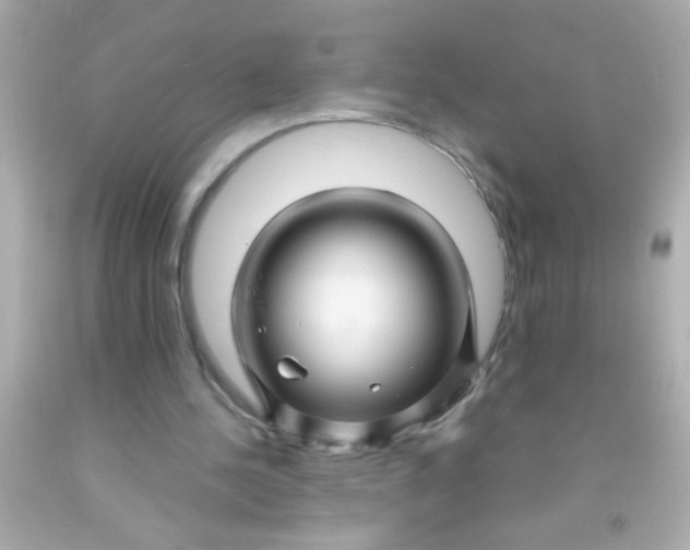 X0000091500244200709061928