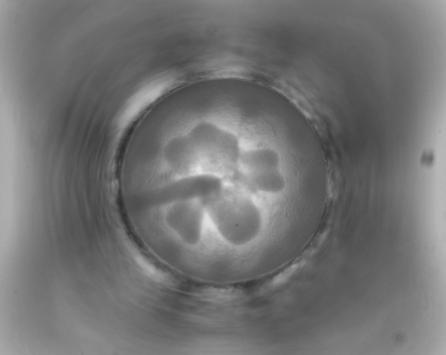 X0000091500245200709061928