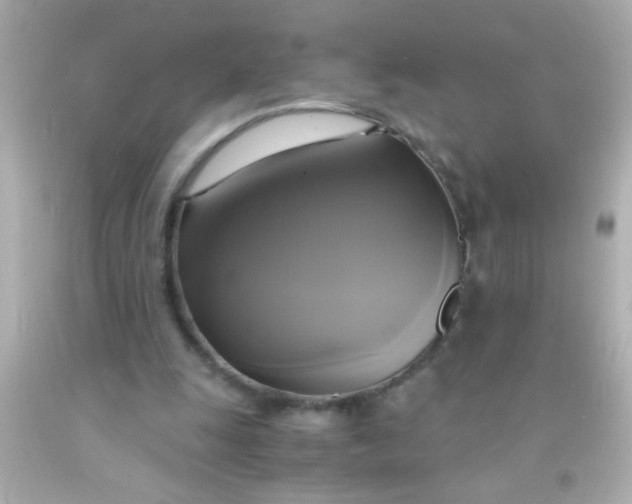 X0000091500247200709061928