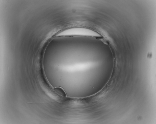 X0000091500250200709061928