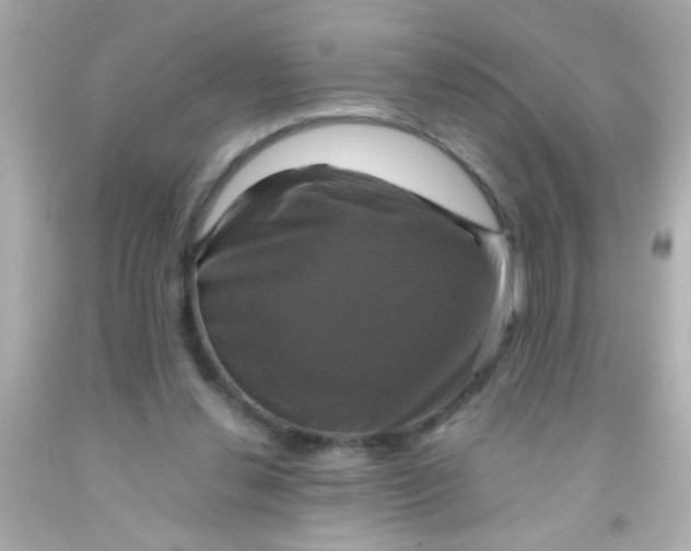 X0000091500252200709061928