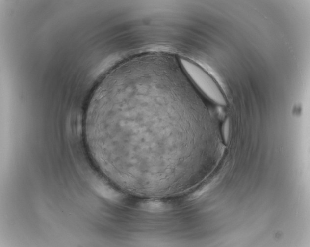 X0000091500253200709061928