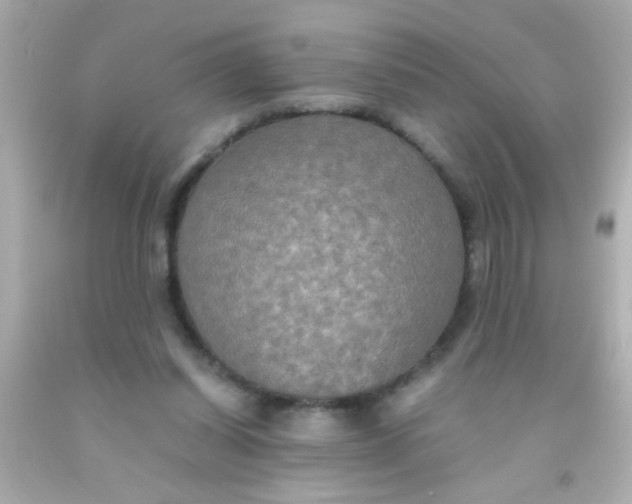 X0000091500254200709061928