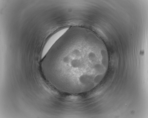 X0000091500255200709061928