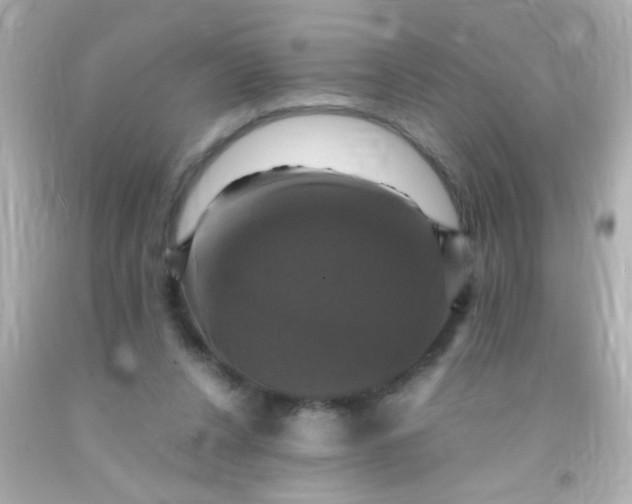 X0000091500256200709061928