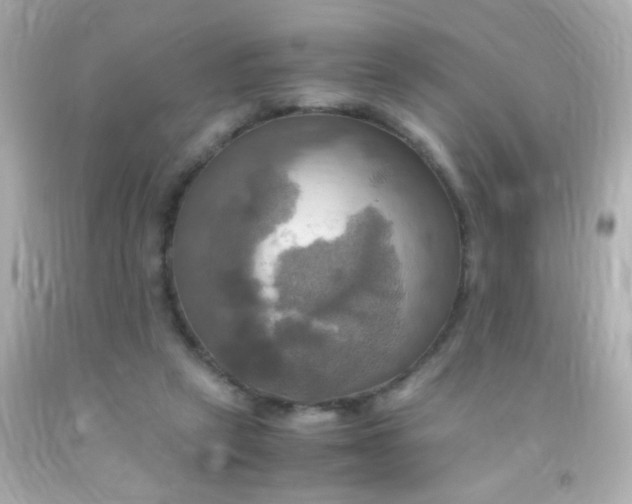 X0000091500257200709061928