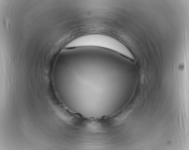 X0000091500258200709061928