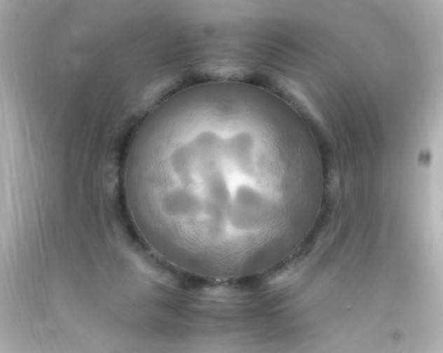 X0000091500259200709061928