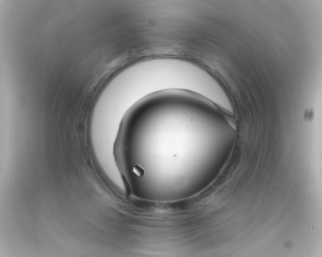 X0000091500260200709061928