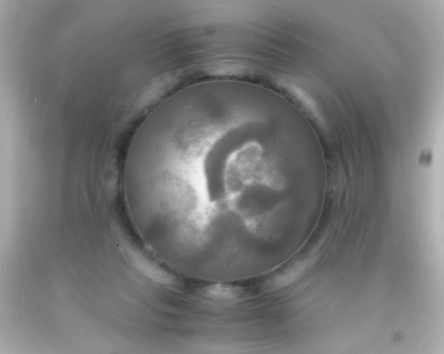 X0000091500261200709061928