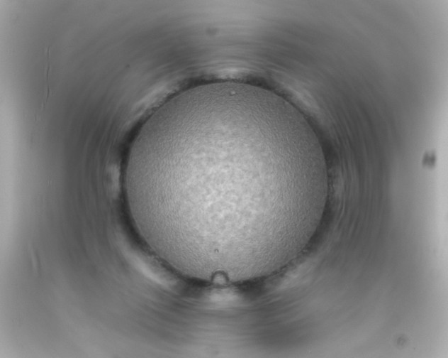 X0000091500262200709061928