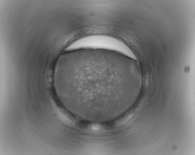 X0000091500264200709061928