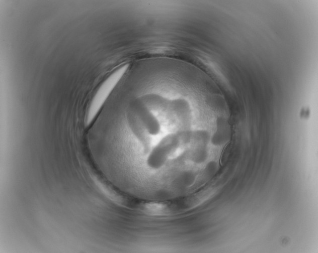 X0000091500265200709061928