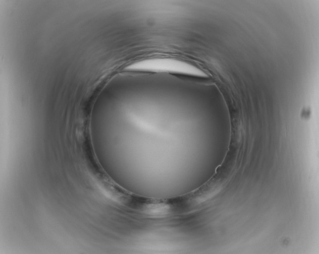 X0000091500266200709061928