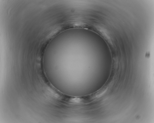 X0000091500269200709061928