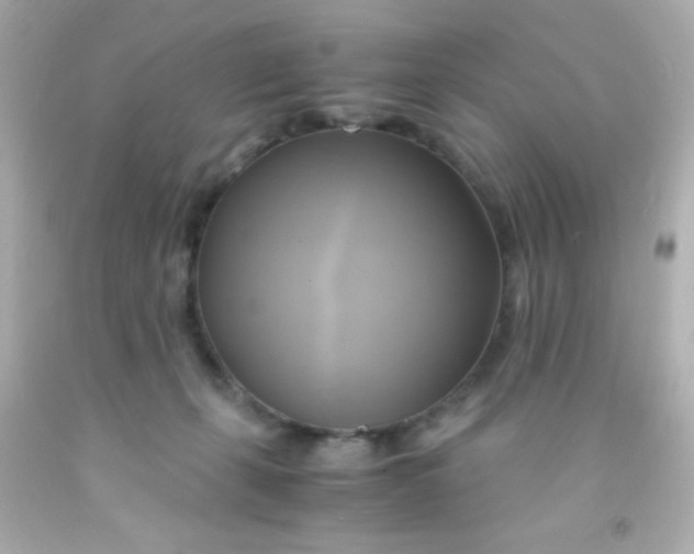 X0000091500271200709061928