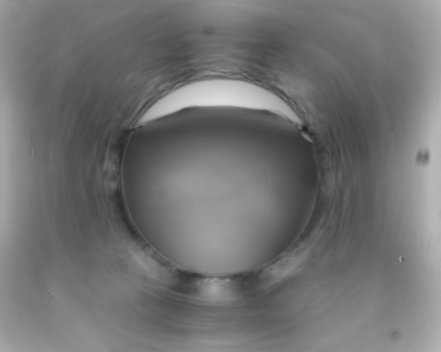 X0000091500273200709061928