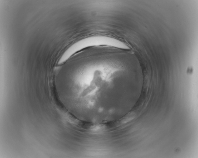 X0000091500274200709061928