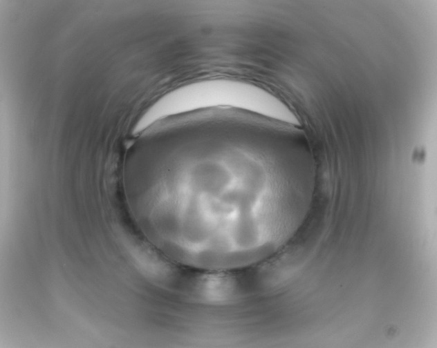 X0000091500275200709061928