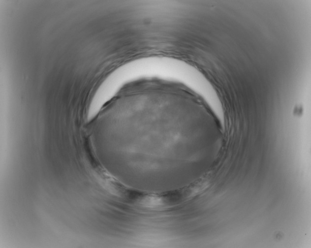 X0000091500276200709061928