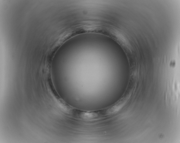 X0000091500277200709061928