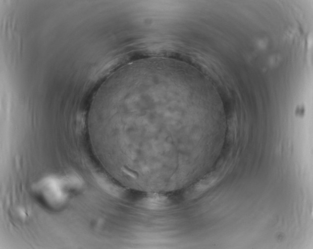 X0000091500278200709061928