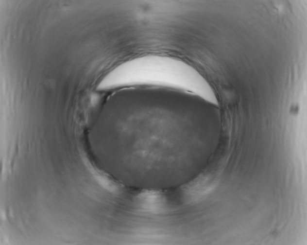 X0000091500280200709061928