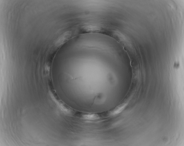 X0000091500281200709061928