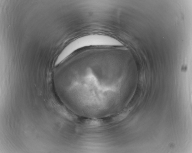 X0000091500282200709061928