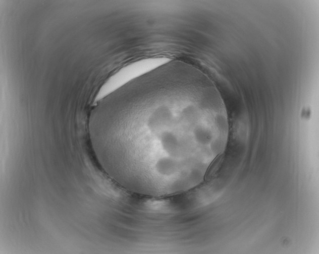 X0000091500283200709061928