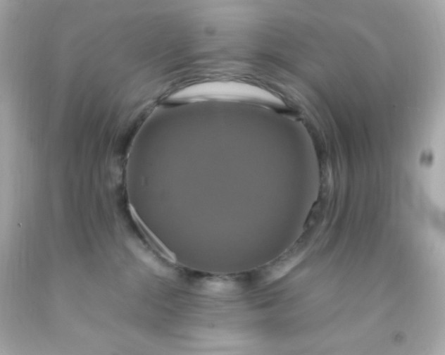 X0000091500284200709061928