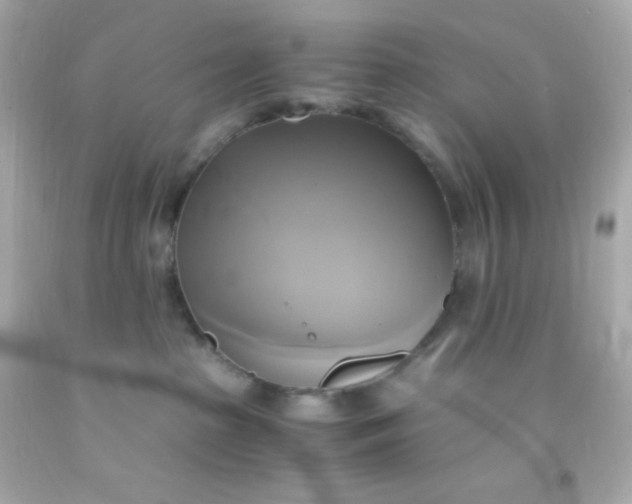 X0000091500285200709061928