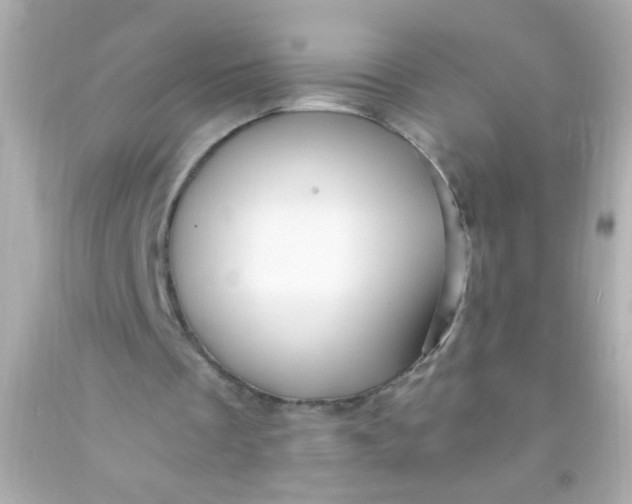 X0000091500289200709061928