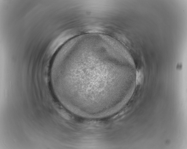 X0000091500291200709061928