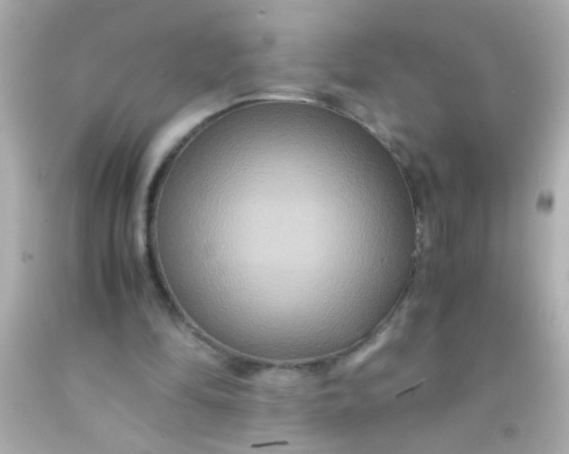 X0000091500294200709061928