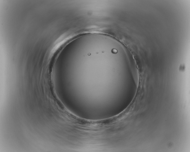 X0000091500295200709061928