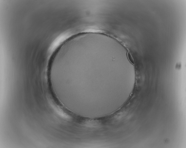 X0000091500296200709061928