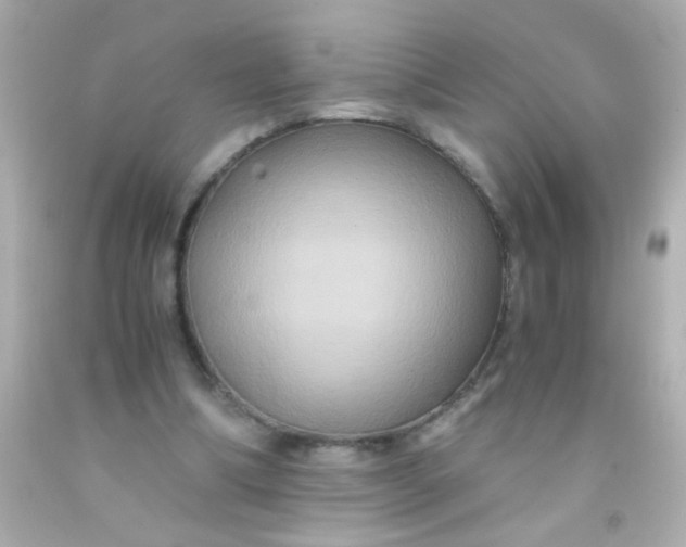 X0000091500298200709061927