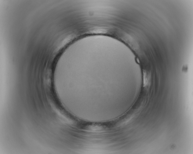 X0000091500300200709061927