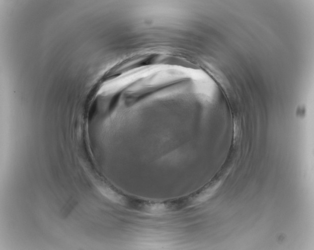 X0000091500301200709061927