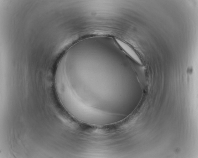 X0000091500303200709061927