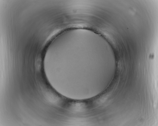 X0000091500304200709061927