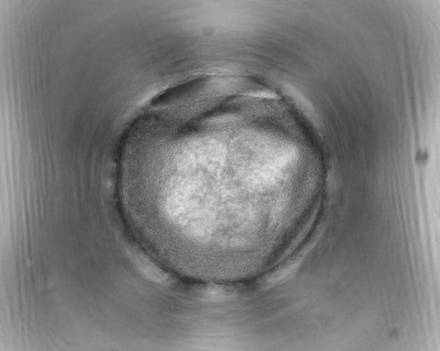 X0000091500305200709061927